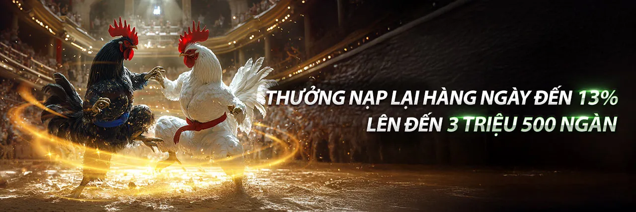 Đá gà trực tuyến 98win login 2026 với trận đấu kịch tính